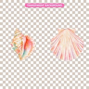 Transparent background — checker matte proof