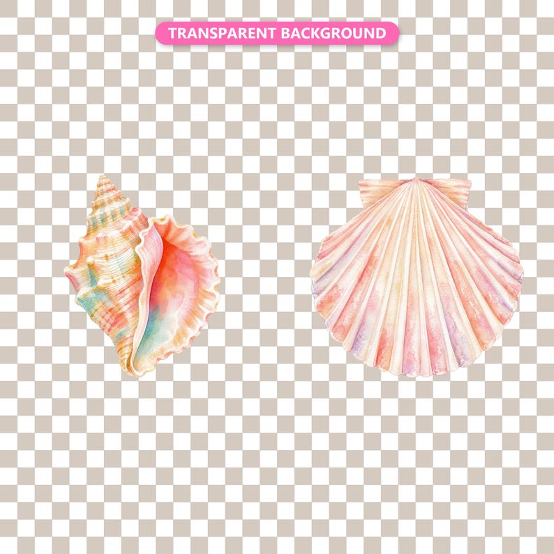 Transparent background — checker matte proof