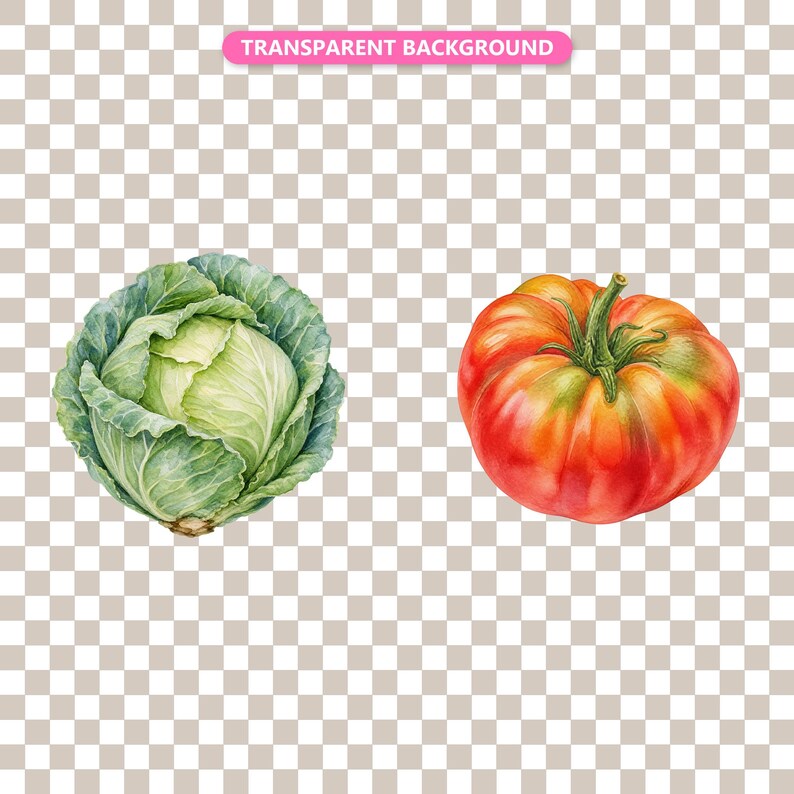 Transparent background — checker matte proof