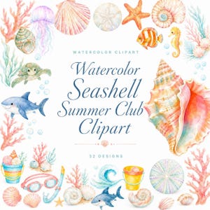 watercolor seashell clipart