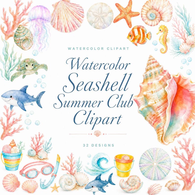 watercolor seashell clipart