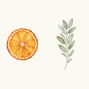 Sample elements — content preview