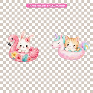 Transparent background — checker matte proof