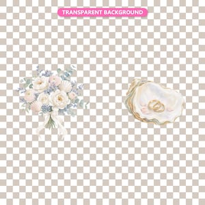 Transparent background — checker matte proof