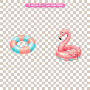Transparent background — checker matte proof