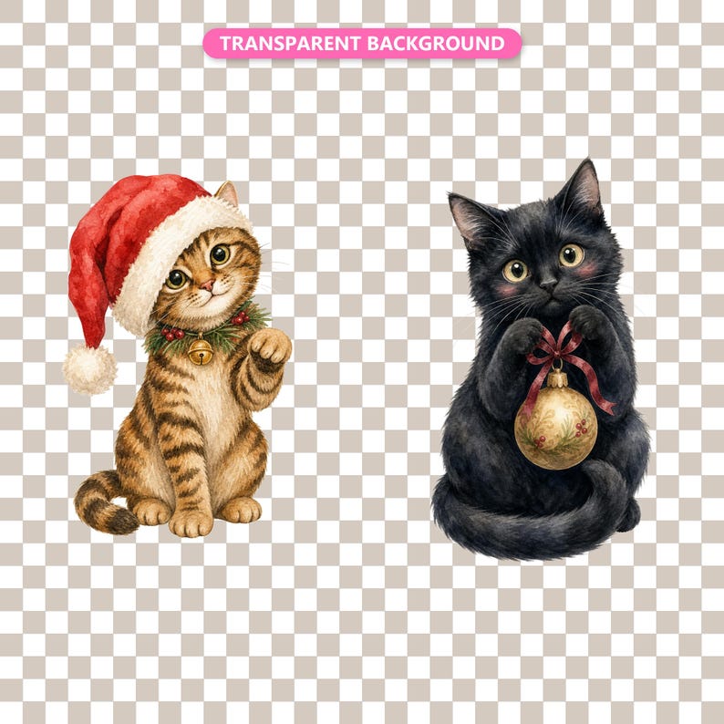 Transparent background — checker matte proof