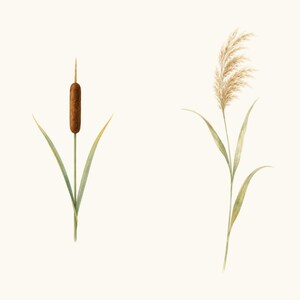 Sample elements — content preview