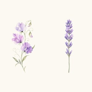 Sample elements — content preview