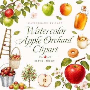 watercolor apple orchard clipart