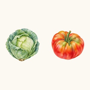 Sample elements — content preview