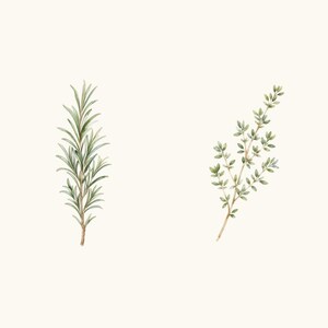Sample elements — content preview