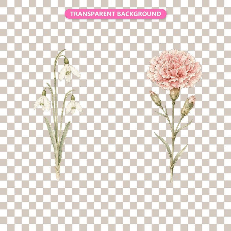 Transparent background — checker matte proof