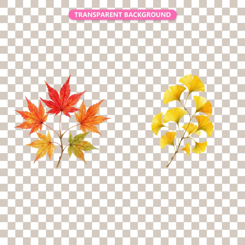 Transparent background — checker matte proof