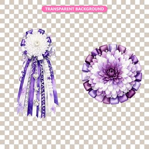 Transparent background — checker matte proof