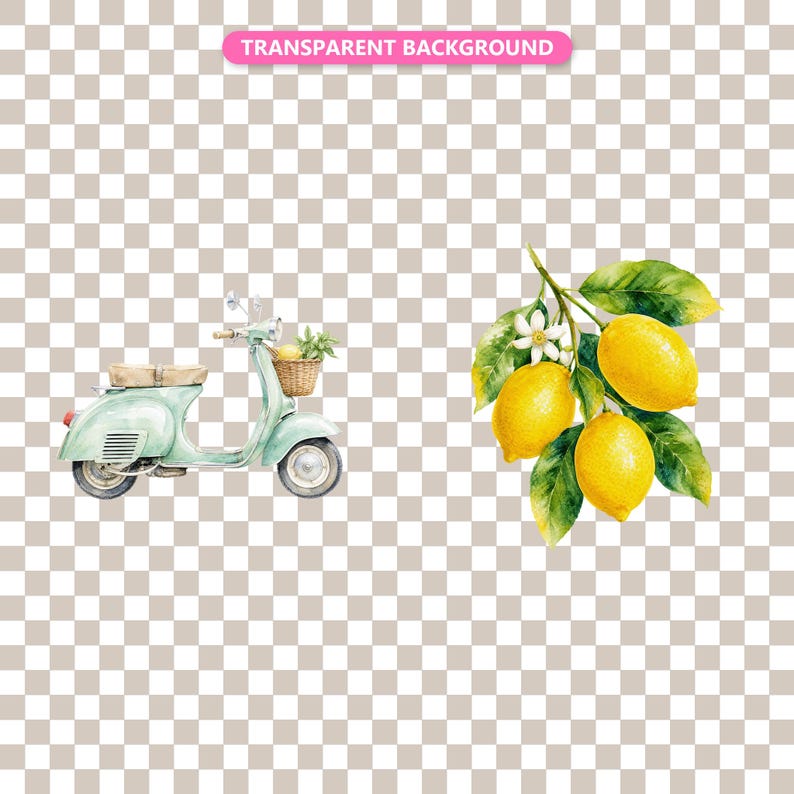 Transparent background — checker matte proof