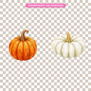 Transparent background — checker matte proof