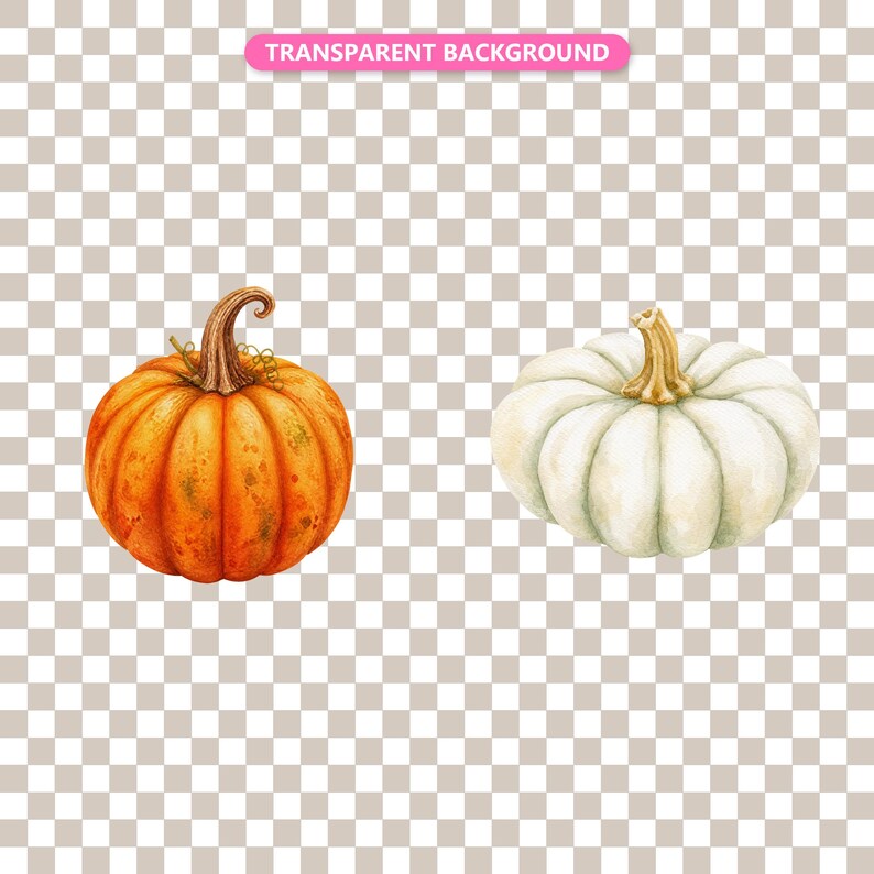Transparent background — checker matte proof