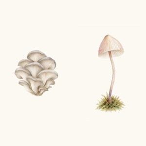 Sample elements — content preview