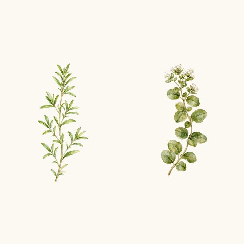 Sample elements — content preview