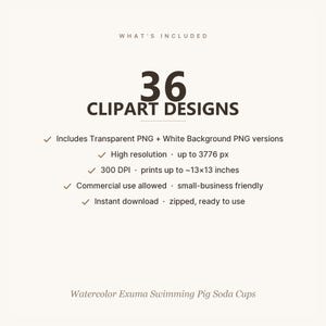 What's included — file count, formats, resolution