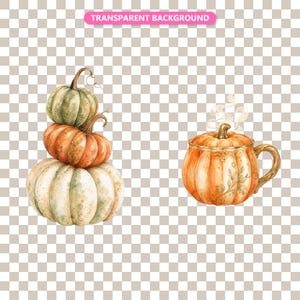 Transparent background — checker matte proof