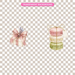 Transparent background — checker matte proof