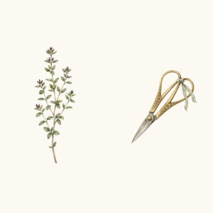 Lifestyle scene - gift wrap