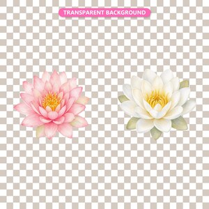Transparent background — checker matte proof