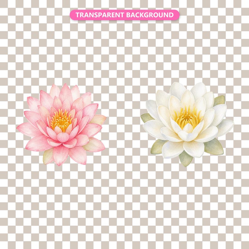 Transparent background — checker matte proof