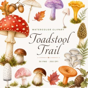 watercolor mushroom clipart bundle