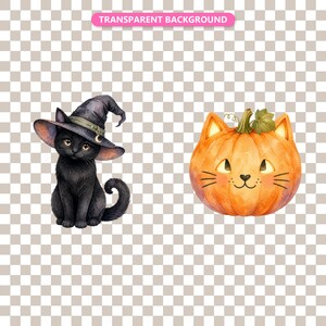 Transparent background — checker matte proof