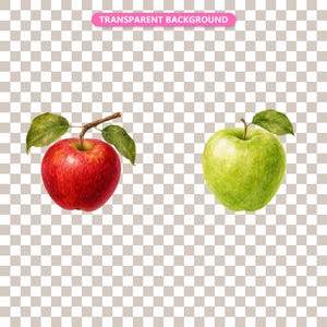 Transparent background — checker matte proof