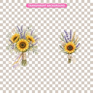 Transparent background — checker matte proof