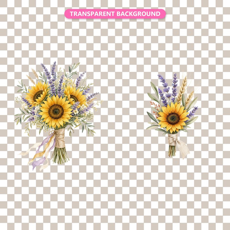 Transparent background — checker matte proof