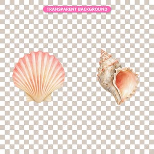Transparent background — checker matte proof