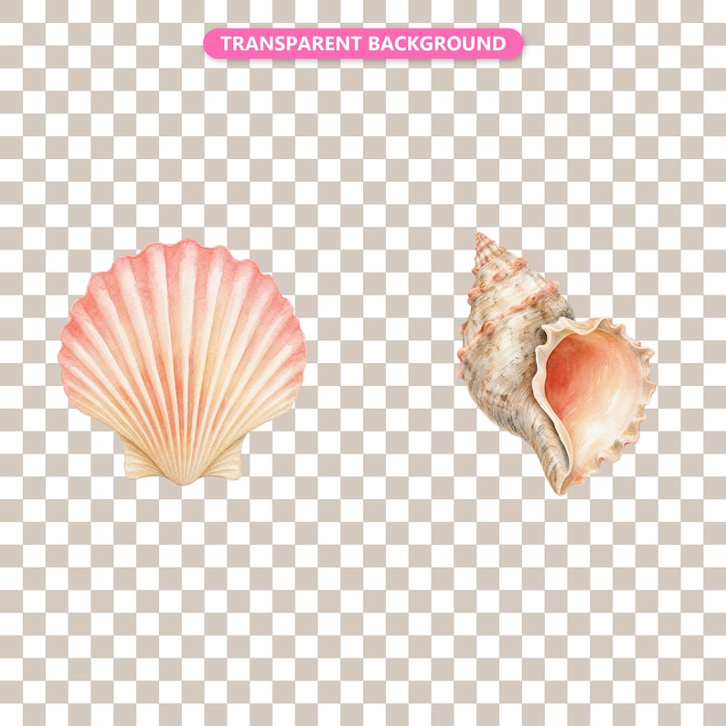 Transparent background — checker matte proof