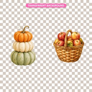 Transparent background — checker matte proof