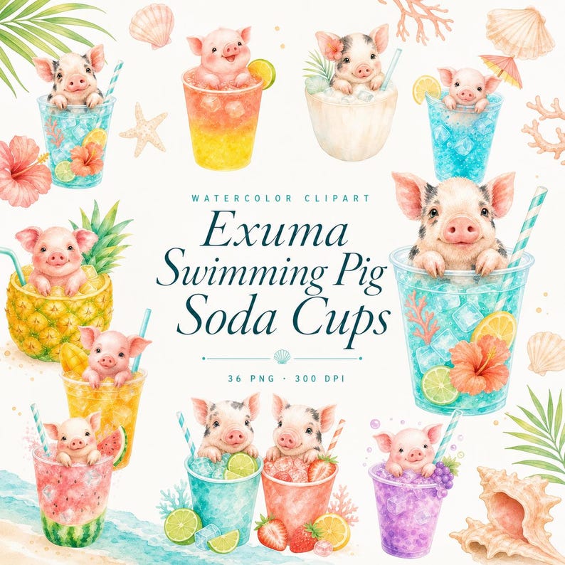 watercolor Exuma swimming pig soda cups clipart bundle