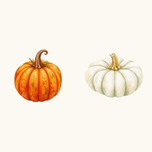 Sample elements — content preview
