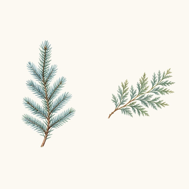 Sample elements — content preview