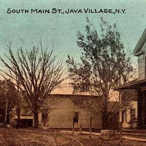 May include: A vintage postcard showing a street scene in Java Village, N.Y., with the text South Main St., Java Village, N.Y. at the top. The image features a white wooden building with a porch, bare trees, and a dirt road under a pale sky.