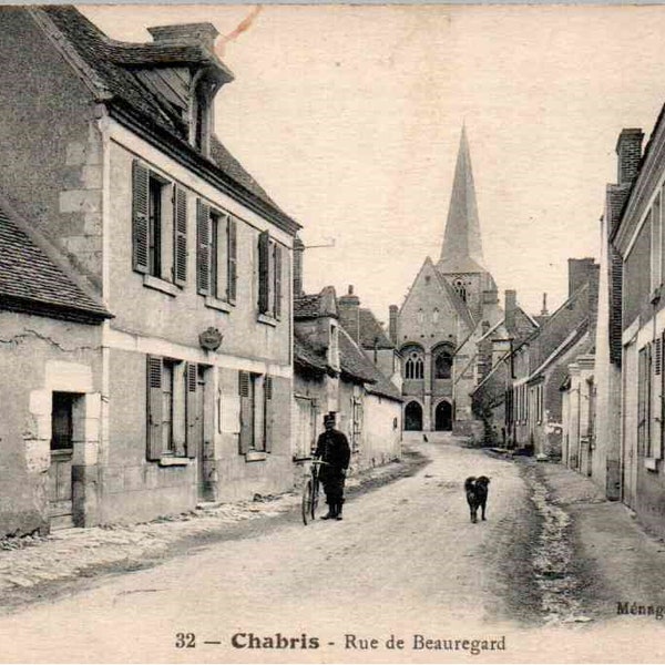 Chabris, France, Man and Dog, Bicycle, on Beauregard Avenue, c1908 - Antique Postcard, Vintage Postcard