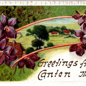 Canton, Illinois - Saluti da Canton - Fiori, Scena di campagna - Stampa in rilievo c1908 - Cartolina d'epoca