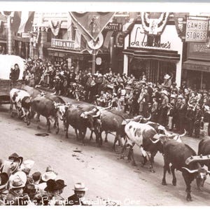 May include: Vintage black and white photograph of a parade featuring a line of longhorn cattle, a covered wagon, and a crowd of spectators lining the street. The text "Round Up Time Parade" is visible.
