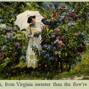 Minha Virgínia, da Virgínia, mais doce que as flores que crescem - Pretty Lady - 1909 - Cartão postal antigo e vintage