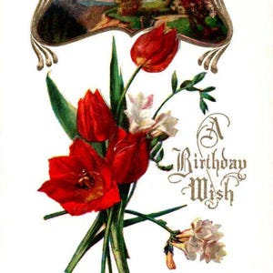 A Birthday Wish - Tulips, Farm Scene -Embossed - c1908 -  Vintage Postcard, Antique Postcard