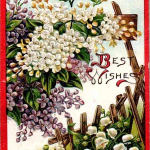 Best Wishes - Flieder - um 1910 - Vintage Postkarte, Antike Postkarte