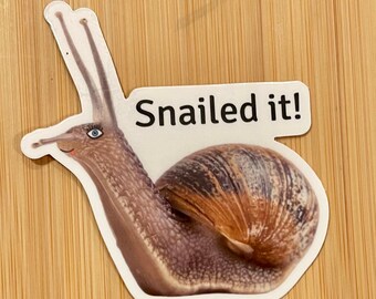 Snailed It Snail Sticker - Waterproof Sticker - Laptop Stickers - Stickers for Hydroflask - Snailed It Cute Stickers - Animal Stickers