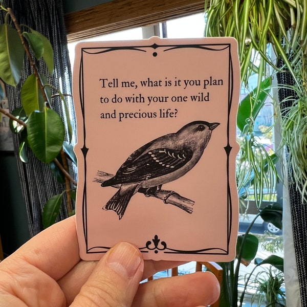 Mary Oliver Sticker - ''What is It You Plan to Do With Your One Precious'' - Trendy Poetry Sticker - Modern Sticker - Waterproof Sticker