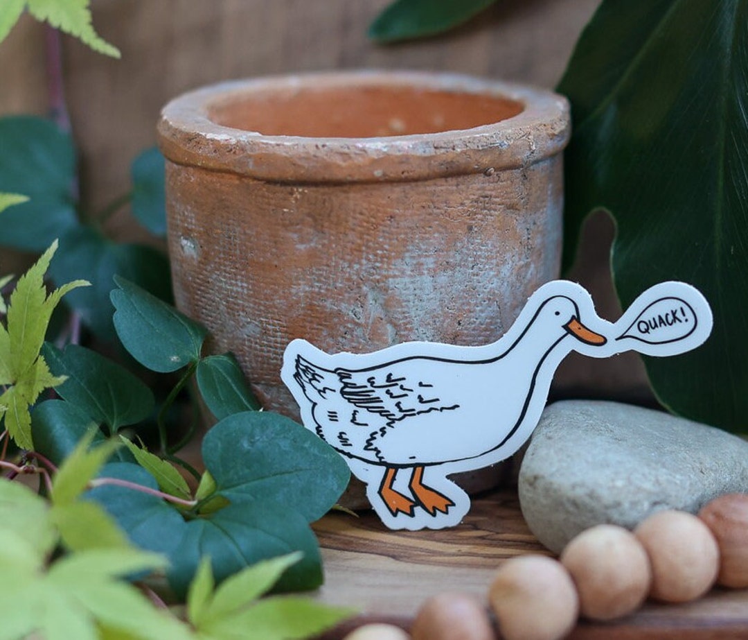 Quack Sticker Duck Sticker Reading Quack - Funny Duck Sticker - Laptop Sticker ...